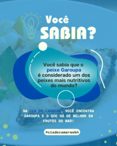 Peixe Garoupa