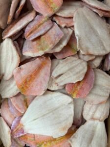 Conheça o peixe Trilha – com sabor de camarão